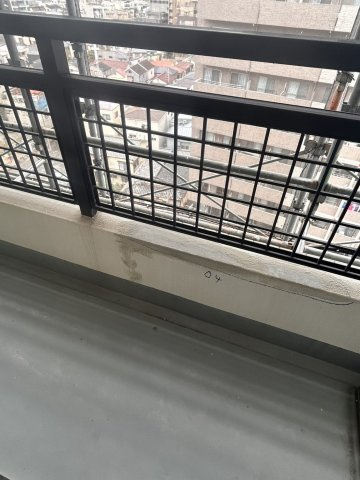 プラザ・ラ・ポールのバルコニー