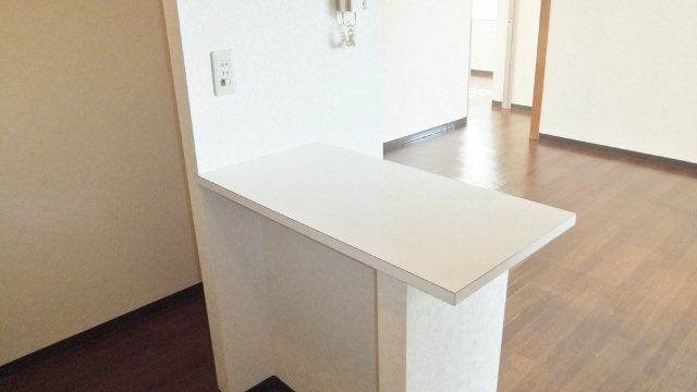 プラムロイヤル原木中山のキッチン|カウンター付！使いやすいです☆