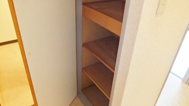 プラムロイヤル原木中山の収納|脱衣所に収納あります