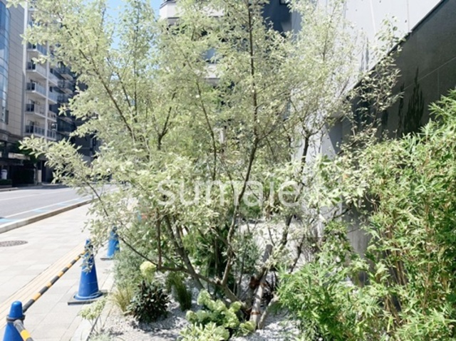 Roots新都心のその他|綺麗な手入れされた植栽です！