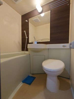 【トイレ】 | RENATUS HOYA | 落ち着いたトイレです