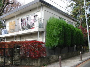 グリーンフラットの外観