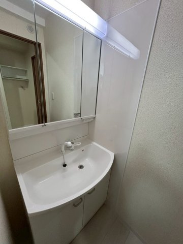 パレスジョージタウンの洗面所