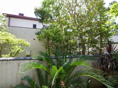 【展望】 | シーサイド ヴィラ プルメリア スイーツ