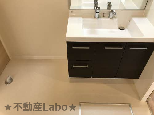 シャーメゾンガーデン松茂Cの洗面所