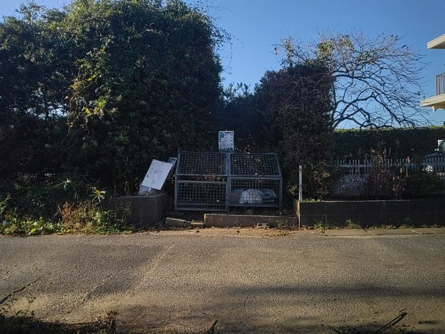 【前面道路含む現地写真】 | 山武市松ケ谷ロ　平屋中古戸建