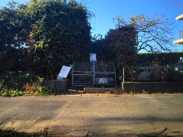 【周辺】 | 山武市松ケ谷ロ　平屋中古戸建