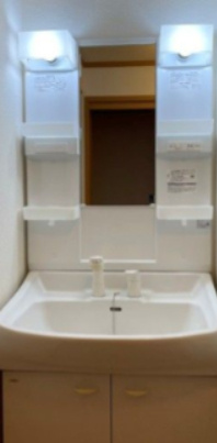 メゾンＹの洗面所