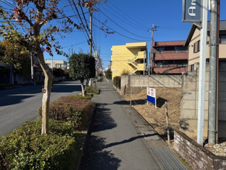 【前面道路含む現地写真】