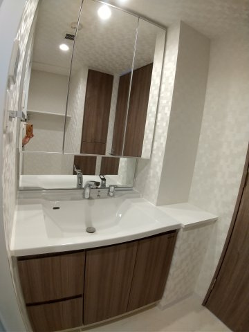 S-RESIDENCE両国sereaの独立洗面台