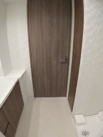 S-RESIDENCE両国sereaの洗面所