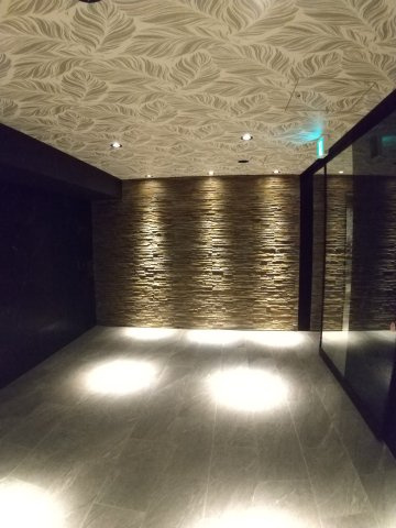 S-RESIDENCE両国sereaのロビー