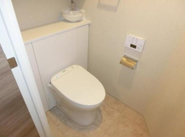 アルティザ東銀座のトイレ