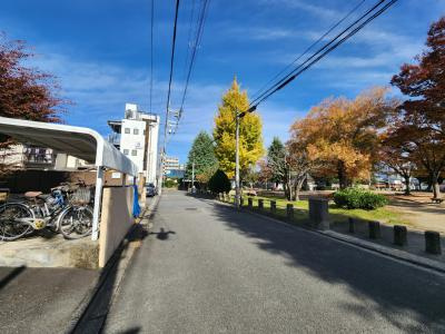BAUM EMON（バームエモン）の周辺|前面道路