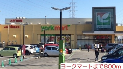 【周辺】 | ハイ・フォレスト | ヨークマートまで800m