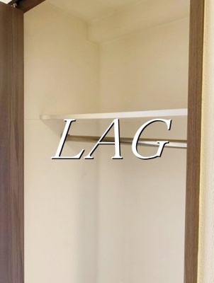 【収納】 | コンシェリア新宿EAST | 収納です。