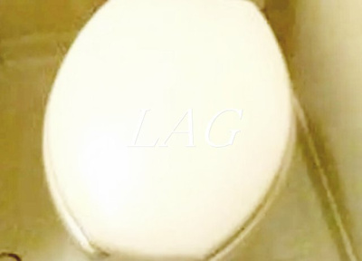 【トイレ】 | ダイホープラザ町屋 | トイレです。