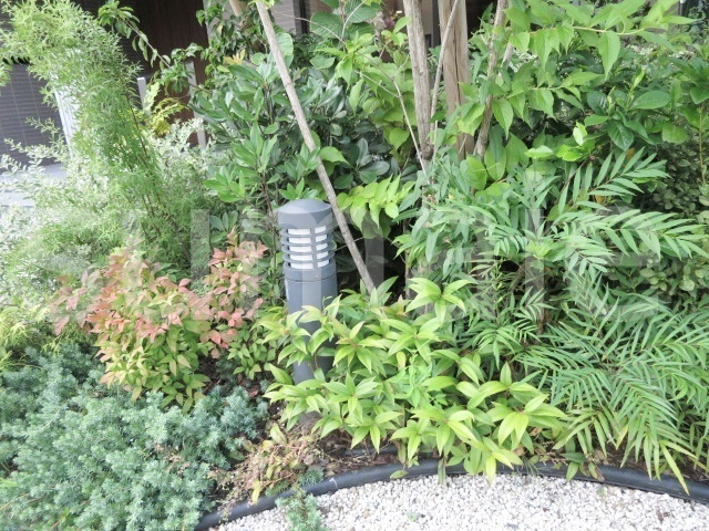 アヴェニールのその他|緑があって癒されますね♪