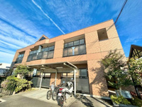 パームヒルズの画像