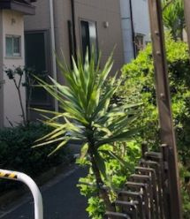 Ｆｌｅｃｈｉｒのエントランス