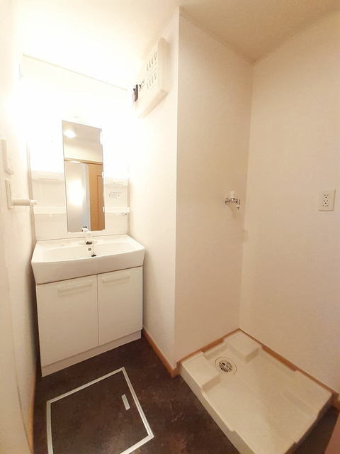 メゾンリールの洗面所