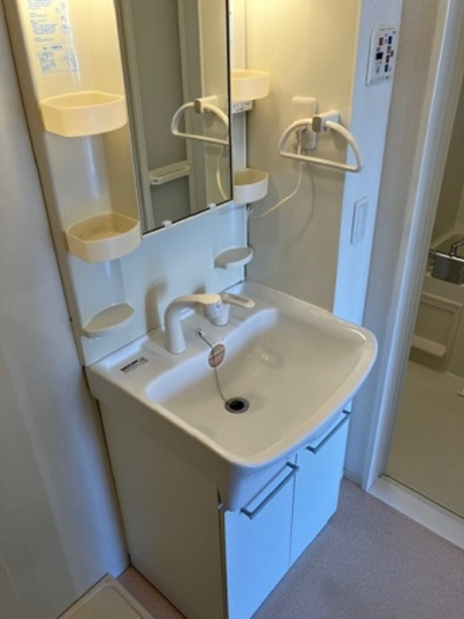 ローズコートYの洗面所