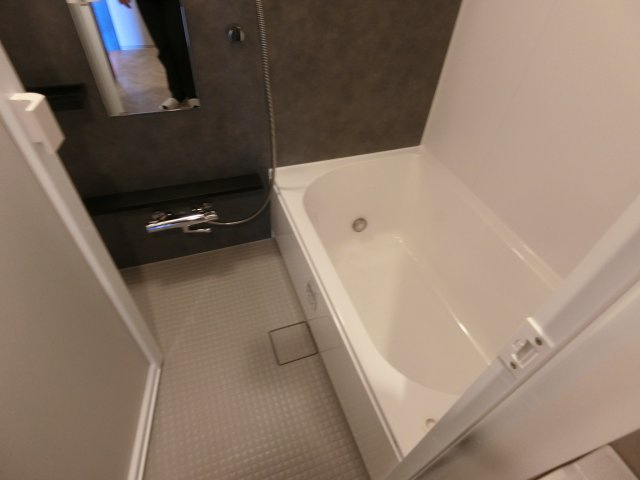 ブランシエスタ新丸子リバーフロントの浴室|他のお部屋の参考写真となります。