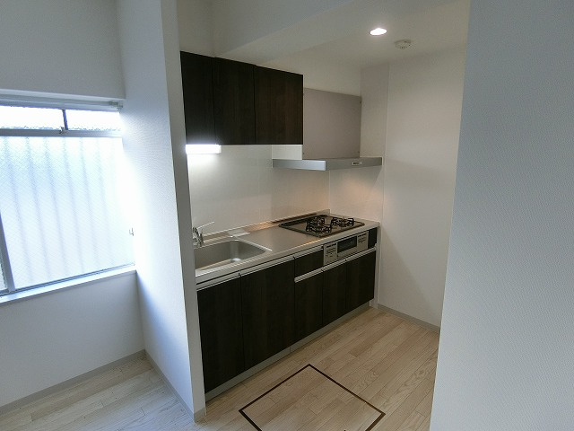 甲子園ハニーマンションのキッチン