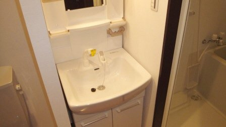 Elan Vitalの洗面所|独立洗面台です。