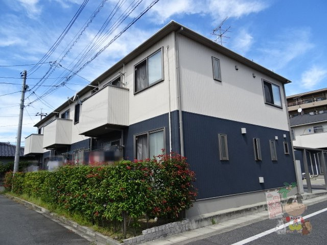 グリーンセトル万倍