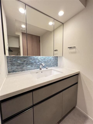 【独立洗面台】 | パークシティ高田馬場