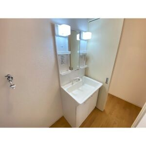 Premiere4の洗面所