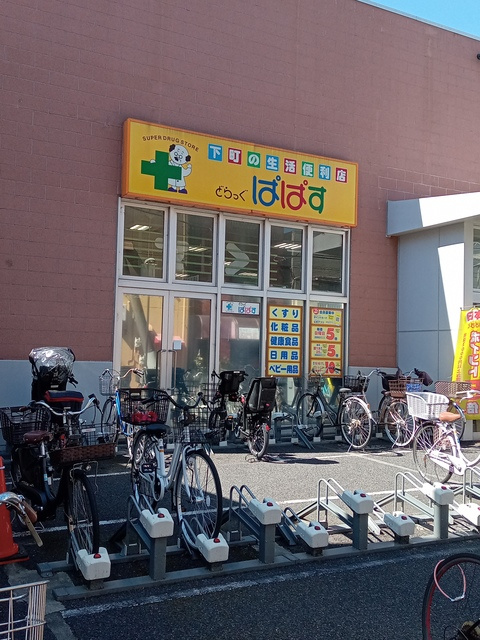 (シニア限定)ヘーベルヴィレッジクレイプマートルのその他|どらっぐぱぱすセルカ高砂店