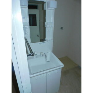 プライメリー岡島の洗面所