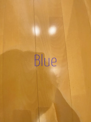 【居間・リビング】 | EARTH浅間町 | 同仕様