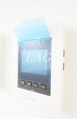 【セキュリティ】 | Ｃｏｃｃｉｎｅｌｌｅ（コクシネレ） | モニター付きインターホンです。