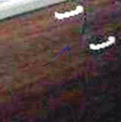 オプサス東尾久