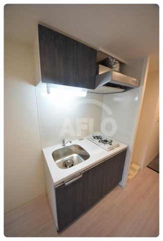 プレサンス上町台筆ヶ崎NORTHのキッチン|プレサンス上町台筆ヶ崎NORTH　2口ガスシステムキッチン