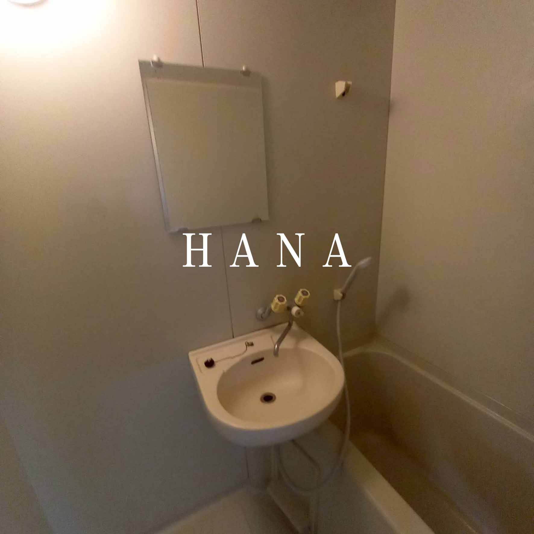 フジマンション末広の洗面所