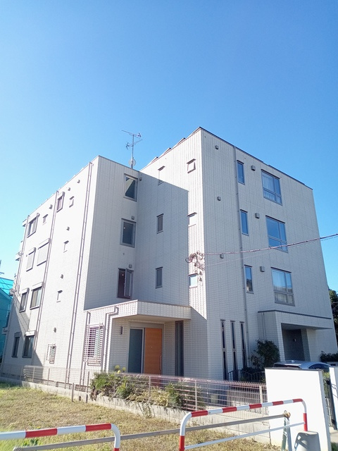 （シニア限定）ラファータ