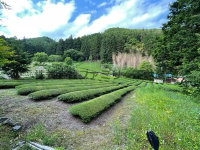 【庭】 | 大子町貸戸建住宅