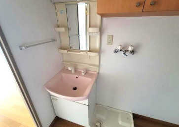 アルビオン田端の洗面所