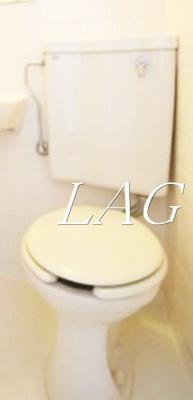 【トイレ】 | ライオンズマンション文京根津 | トイレです。