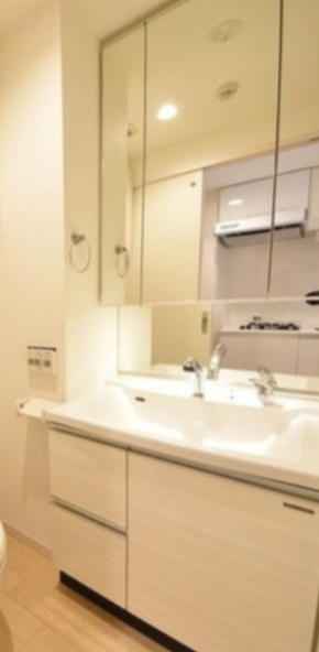 ラスパシオ三軒茶屋　敷金礼金0　南向き　宅配BOX　RENECATの洗面所