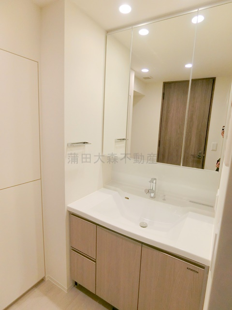 プレディアコート大森山王の洗面所