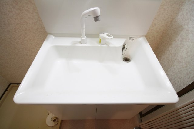 アメニティマンションIIIの洗面所