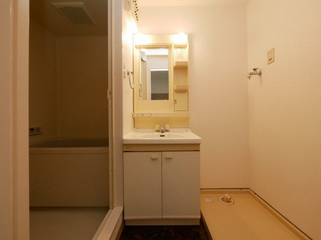 シャトー弁天弐番館の洗面所