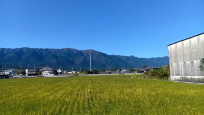 【周辺】 | 大津市和邇南浜66-6　アパート | 敷地付近の農道からの風景