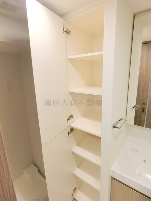 プレディアコート大森山王プレディアコートオオモリサンノウの収納|洗面台横収納スペース