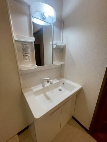 メゾン飛鳥の洗面所